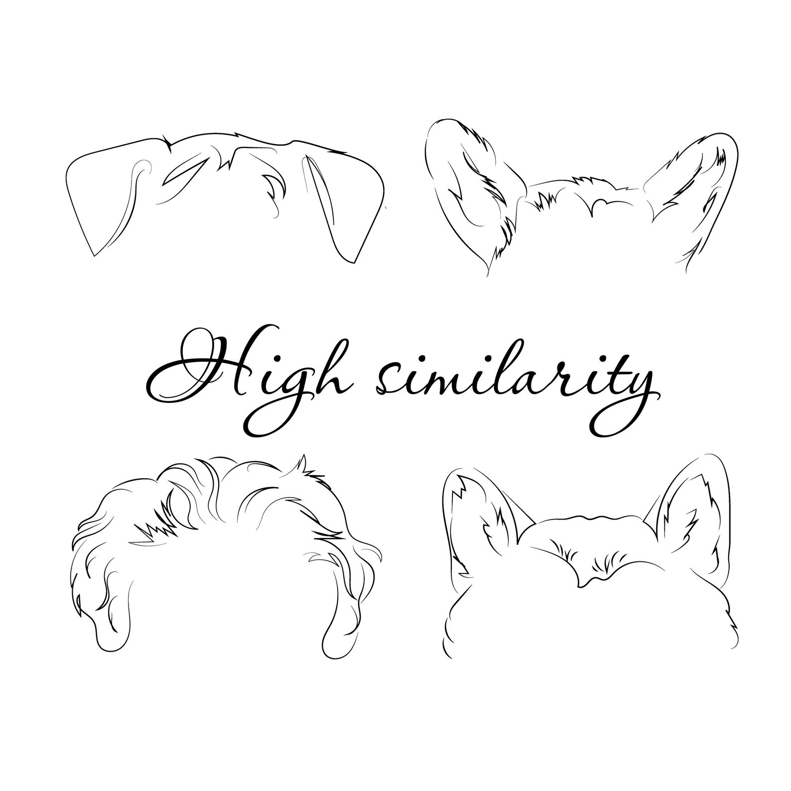 Pet Ears Custom Line Drawing Art Dog Portrait From Photo Etsy