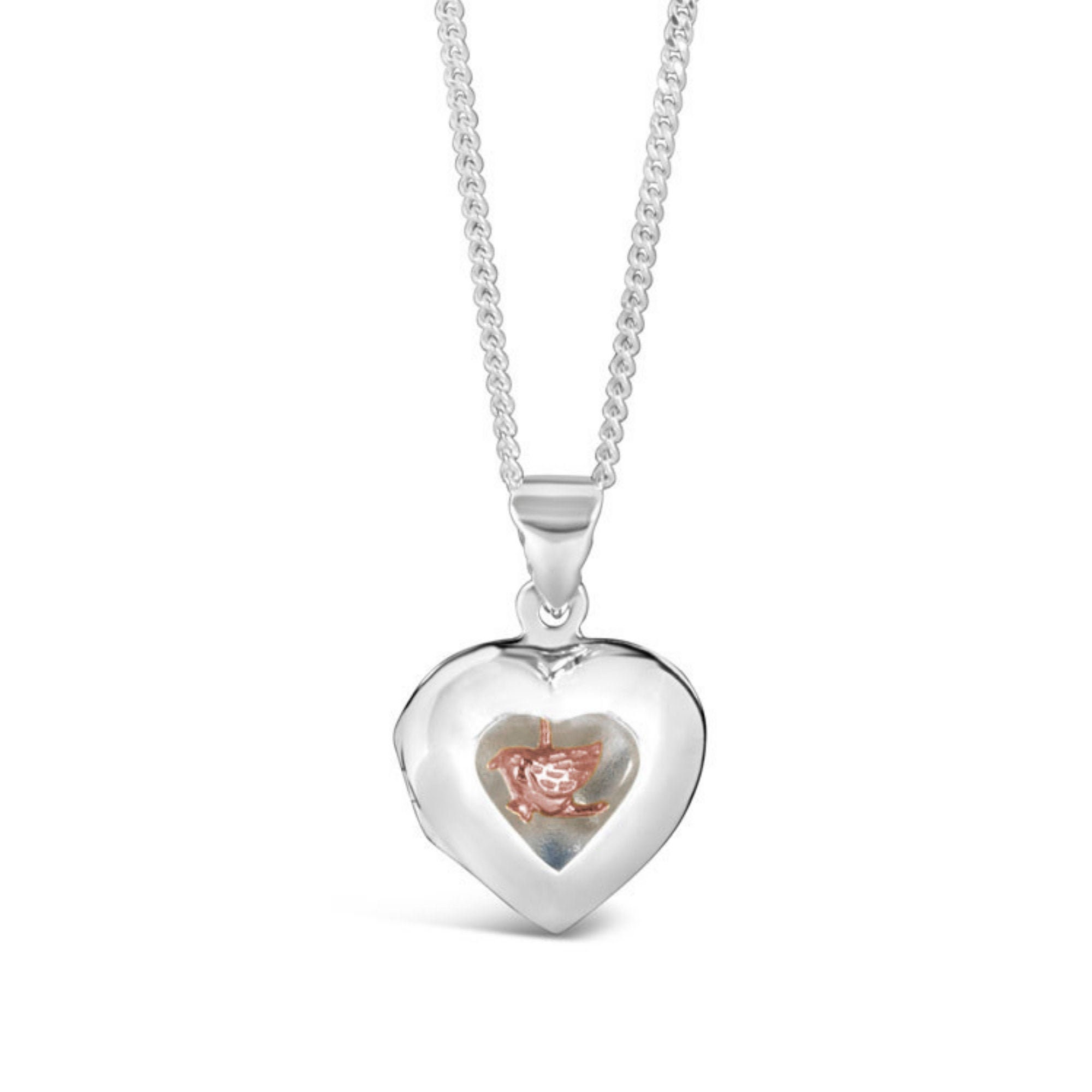 リトルサニーバイト　heart locket necklace / SILVER little sunny bite (リトルサニーバイト)heart locket necklace