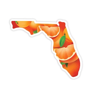 Florida Citrus | A Florida Inspired Sticker | For Laptop Planner Car Water Bottle | Vinyl Waterproof