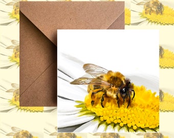 Bee / Bee Card / Bumble Bee Card /  Bee Greetings Card / Wildlife Card / Blank Card/ Animal card