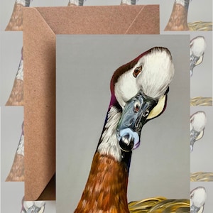 Fischio anatra dalla faccia bianca, carta animale selvatico / carta anatra / biglietto d'auguri anatra / carta della fauna selvatica / carta bianca/
