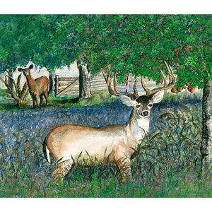 Caught Off Guard: Deer Watercolor Art Print