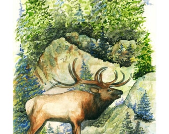 ルーズベルトエルク　油彩画　鹿　絵 オリンピック国立公園 ルーズベルト エルク 水彩画 額入りポスター