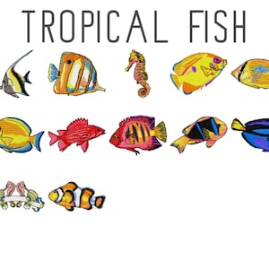 May include: A collection of colourful tropical fish, including a yellow angelfish, a red and white angelfish, a blue tang, a yellow butterflyfish, a black and white butterflyfish, a clownfish, and a seahorse. The image also includes the text "TROPICAL FISH".
