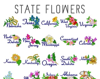 May include: A colorful chart featuring the state flowers of the United States. Each state is represented by a flower with its name written in blue text.