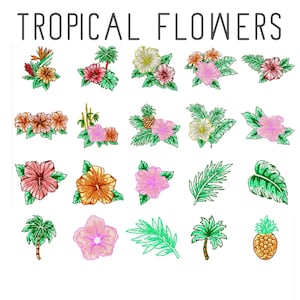 Op de afbeelding: Een verzameling van 20 illustraties van tropische bloemen en planten, waaronder hibiscus, palmbomen, ananas en bladeren. De illustraties zijn in verschillende kleuren, waaronder roze, rood, oranje, geel en groen.