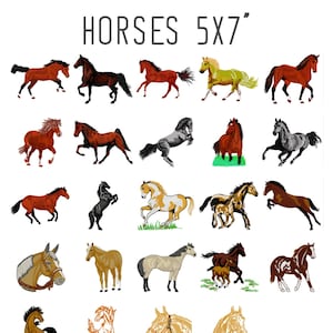 24 GROßE Pferde Stickmuster, Stickmuster Tiere, Pferde Stickmuster, Rodeo Pferd Stickmuster Cowboy Stickmuster Western Stickmuster