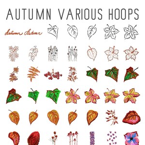 Op de afbeelding: Een verzameling van 30 herfstthema-borduurmotieven met verschillende bladeren, bloemen en bessen. De ontwerpen zijn in zwart-wit lijnkunst, evenals in kleur. De tekst "Autumn Various Hoops" staat bovenaan de afbeelding.