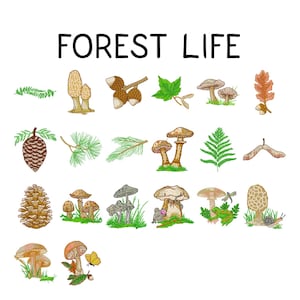 Op de afbeelding: Een kleurrijke illustratie met de tekst "FOREST LIFE" en diverse bos elementen. De afbeelding bevat gedetailleerde tekeningen van paddenstoelen, eikels, bladeren, dennenappels en andere natuurlijke items.