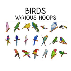 Op de afbeelding: Illustratie met diverse kleurrijke vogels die op takken zitten. De afbeelding toont een verscheidenheid aan vogelsoorten, elk met unieke veren en kleuren. De tekst bovenaan luidt "BIRDS VARIOUS HOOPS".