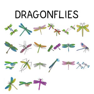 Op de afbeelding: Een verzameling kleurrijke libellenillustraties in verschillende maten en ontwerpen, tegen een witte achtergrond. Het woord "DRAGONFLIES" staat in zwarte blokletters bovenaan.