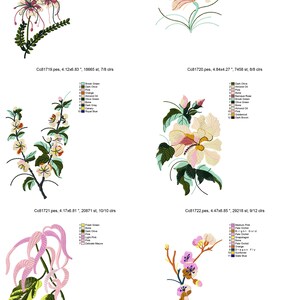 May include: Four embroidery designs featuring floral motifs. The designs include a pink flower with long, thin petals, a white flower with a yellow center, a pink flower with a yellow center, and a pink flower with a white center. The designs are all on a white background.
