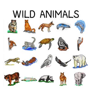 Op de afbeelding: Geborduurde illustraties van wilde dieren, waaronder een beer, vos, wolf, zeehond, aap, tijger en meer. De tekst "WILD ANIMALS" staat bovenaan in vette, zwarte letters.