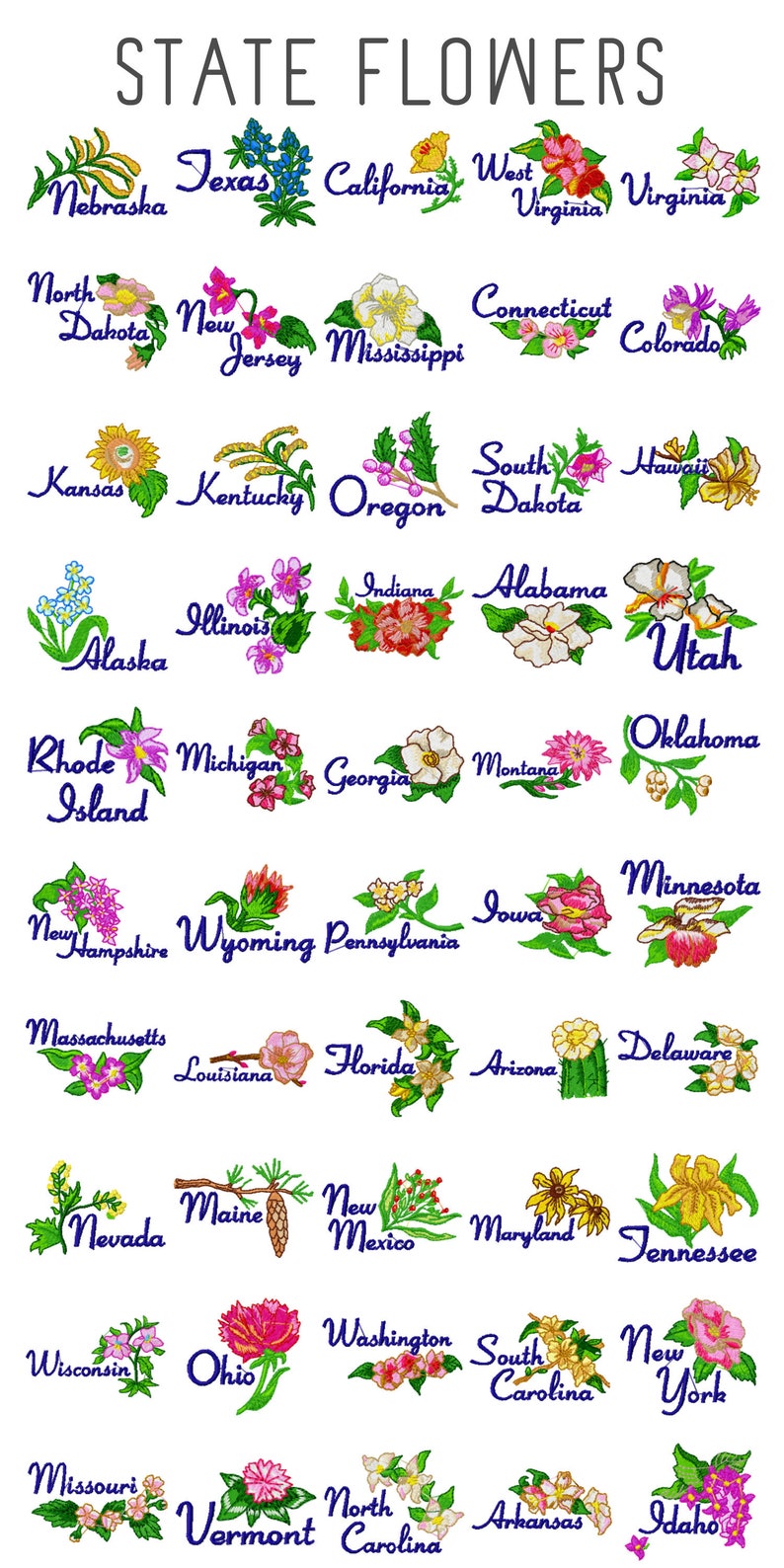 May include: A colorful chart featuring the state flowers of the United States. Each state is represented by a flower with its name written in blue text.