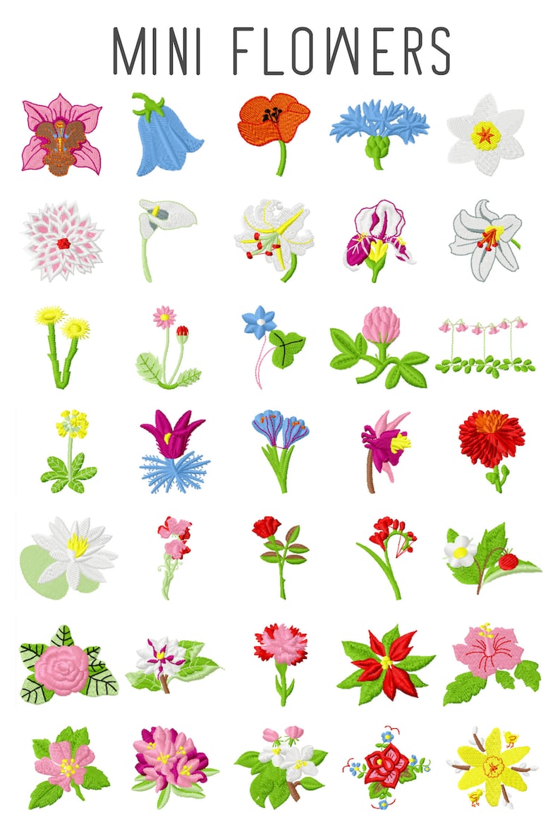 35 MINI Flower machine embroidery designs, floral embroidery pattern, calla lilly flower, tropical flower embroidery rose embroidery pattern image 1