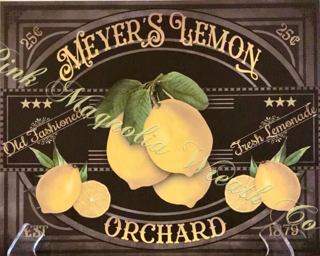 Lemon Sign - Etsy