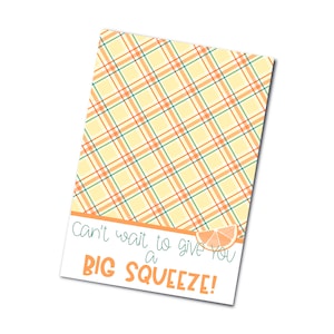 Can&#39;t Wait to Give You a Big Squeeze Printable Plaid Mini Cookie Cards 3.5&quot; x 5&quot; Orange, Thinking of You, Miss You, Social Distance