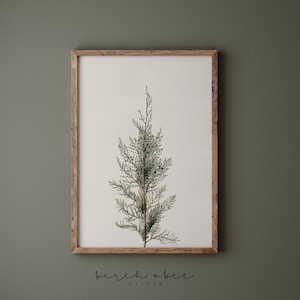 Winter Botanical Print | Vintage Winter Wall Art | Juniper Branch Printable #170