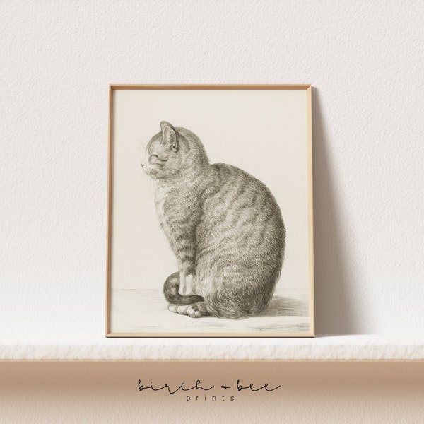 Cat Prints Vintage | Cat Drawing | Antique Farmhouse Wall Art | Antique Cat Sketch Printable Wall Art #244