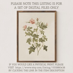 May include: A framed botanical illustration of a pink rose with green leaves and stems. The image is on a cream background and the frame is brown wood.