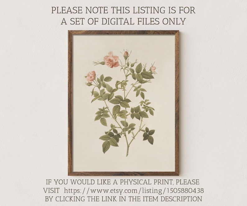 May include: A framed botanical illustration of a pink rose with green leaves and stems. The image is on a cream background and the frame is brown wood.