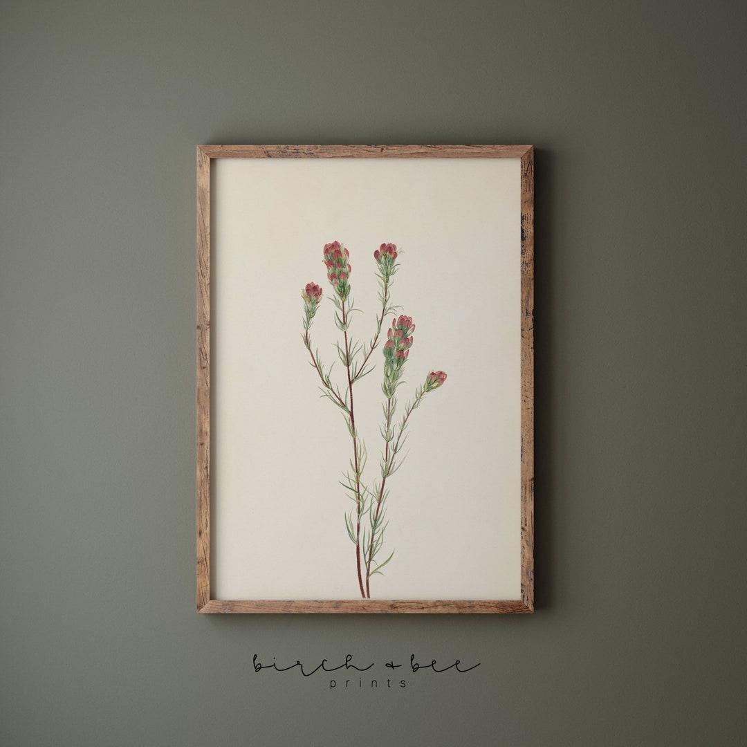 Vintage Botanical Print | Floral Art Print | Country Cottage Wall Decor ...