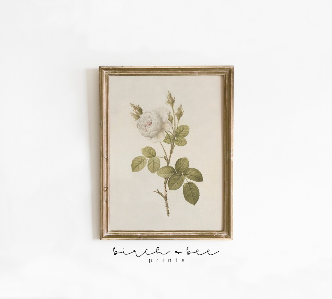 Vintage Botanical Wall Art | Antique Floral Print Green | Downloadable #54 - Etsy