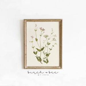 Vintage Botanical Art | Antique Floral Watercolor Print | Flower Nursery Art #85