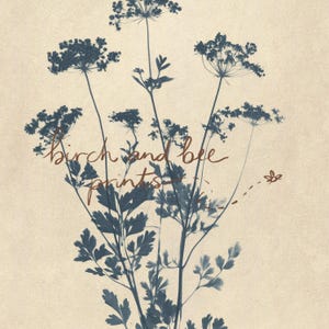 Puede incluir: Una impresi&oacute;n bot&aacute;nica sobre un fondo beige claro con siluetas azul oscuro de plantas con flores, tallos y hojas delicadas. El texto "birch and bee prints" est&aacute; escrito en cursiva marr&oacute;n en el centro junto a una peque&ntilde;a abeja.