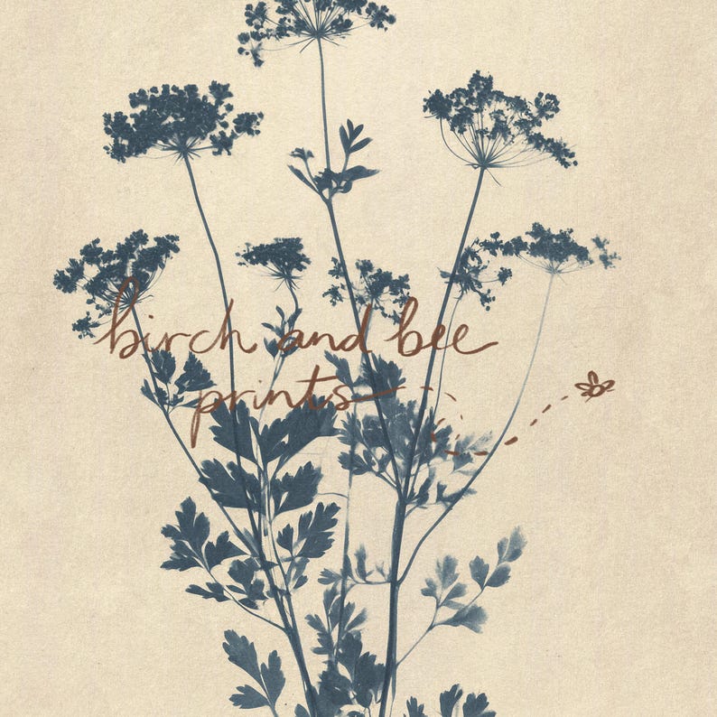 Puede incluir: Una impresi&oacute;n bot&aacute;nica sobre un fondo beige claro con siluetas azul oscuro de plantas con flores, tallos y hojas delicadas. El texto "birch and bee prints" est&aacute; escrito en cursiva marr&oacute;n en el centro junto a una peque&ntilde;a abeja.