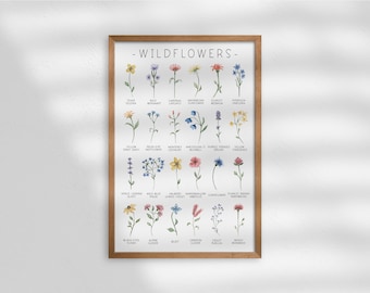 Wildflower Watercolor Art Print: Black-Eyed Susan, Texas Selenia (Digital Download)