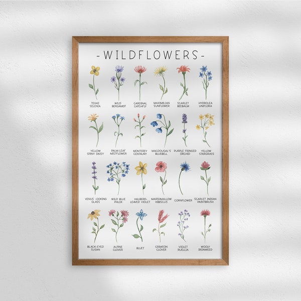 Wildflower Art Print | Watercolor Flower Art | Botanical Print | Black-Eyed Susan | Texas Selenia