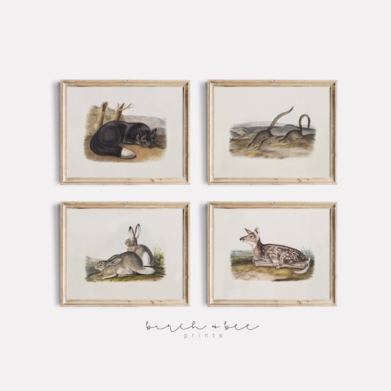 Woodland Animal Nursery Prints | Vintage Print Set of 4 | Country Farmhouse Printable #1