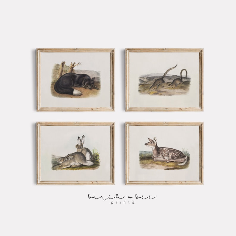 May include: Set of four framed vintage illustrations of animals. The illustrations are in a muted color palette and feature a fox, a deer, a rabbit, and a lizard. The frames are a light wood color.