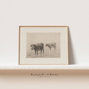 Vintage Cow Drawing | Cattle Sketch | Antique Farmhouse Wall Art | Printable Wall Art #273