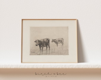 Vintage Cow Drawing: Antique Farmhouse Printable Wall Art (Digital Download)