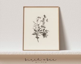 Puede incluir: Una ilustración botánica en blanco y negro de un ramo de flores en un marco de madera claro. Las flores son delicadas y tienen un aspecto vintage.