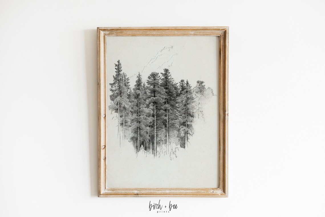 Vintage Tree Sketch Pine Tree Drawing Neutral Print | Etsy