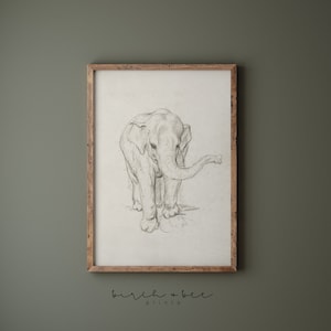 Vintage Elephant Sketch | Elephant Drawing Printable | Vintage Nursery Art | #265