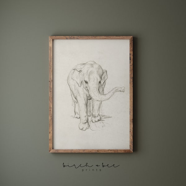 Vintage Elephant Sketch | Elephant Drawing Printable | Vintage Nursery Art | #265