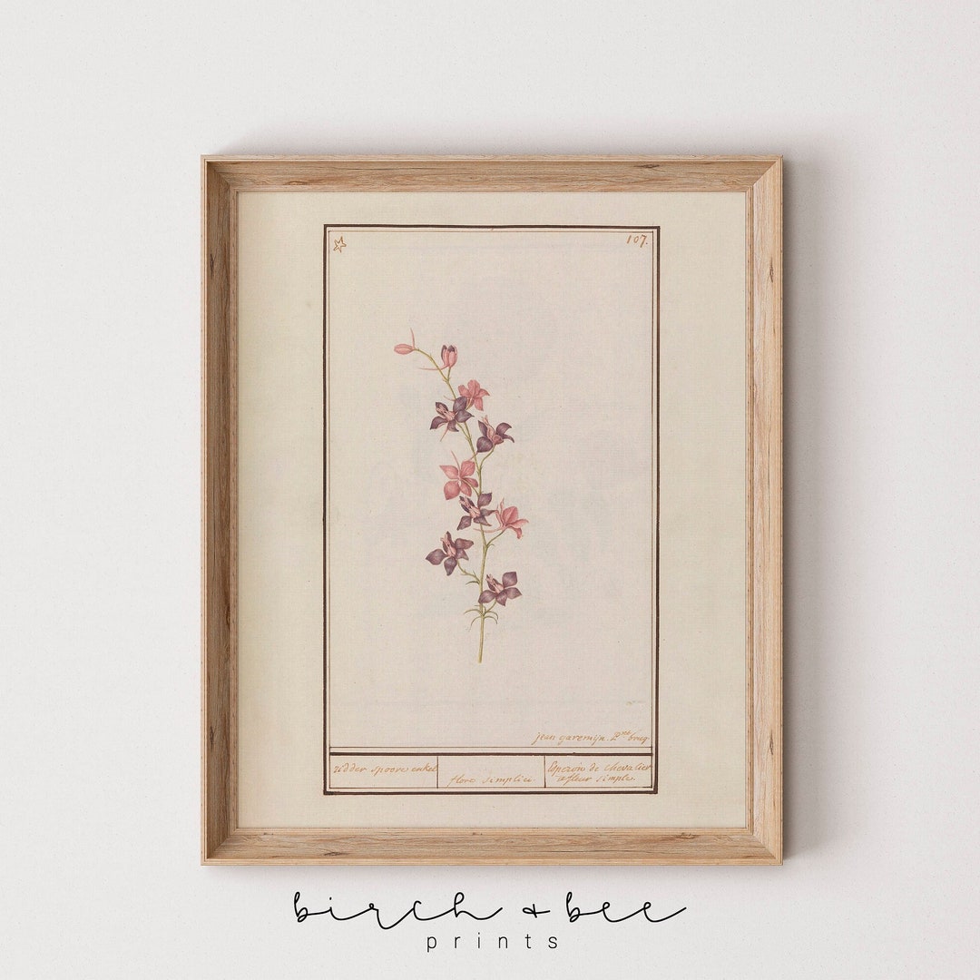 Vintage Floral Print | Botanical Wall Art | Country Cottage Decor ...