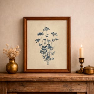 Puede incluir: Una l&aacute;mina de arte enmarcada que presenta una ilustraci&oacute;n bot&aacute;nica en azul oscuro de un grupo de flores silvestres centrada sobre un fondo beige claro. La obra est&aacute; encerrada en un marco de madera marr&oacute;n de tono medio y acabado liso.
