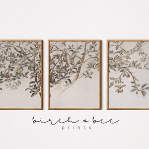 Vintage Tree Sketch Set of 3 | Rustic Apple Tree Watercolor | Farmhouse Art Set