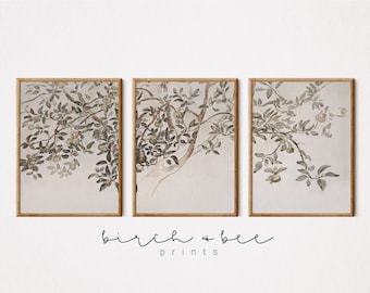 Vintage Tree Sketch Set of 3 | Rustic Apple Tree Watercolor | Farmhouse Art Set