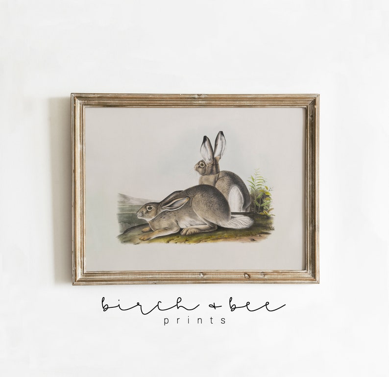 May include: A vintage illustration of two brown rabbits in a framed print. The rabbits are sitting on a grassy patch with a mountain in the background. The print is framed in a light brown wood frame.