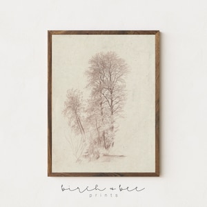 Vintage Tree Drawing | Minimalistic Antique Tree Sketch | Cabin Art Print #99