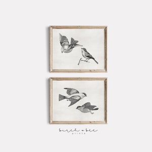 Bird Sketches Set of 2 | Vintage Bird Prints | Farmhouse Printable Art #190
