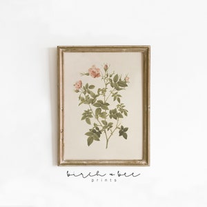 Vintage Floral Print | Minimalistic Botanical Wall Art | Farmhouse Printable #58