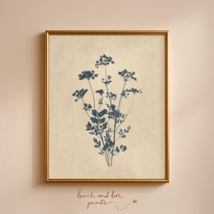 Puede incluir: Una impresi&oacute;n de arte mural enmarcada que presenta una ilustraci&oacute;n bot&aacute;nica azul oscuro de flores silvestres sobre un fondo beige texturizado. La obra est&aacute; encerrada en un marco dorado fino. Debajo del marco, el texto dice birch and bee prints.