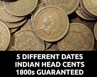 Lot of 5 Indian Head Pennies - 5 Different Dates + 1 1800s penny guaranteed - old US cents